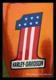 Harley easy rider